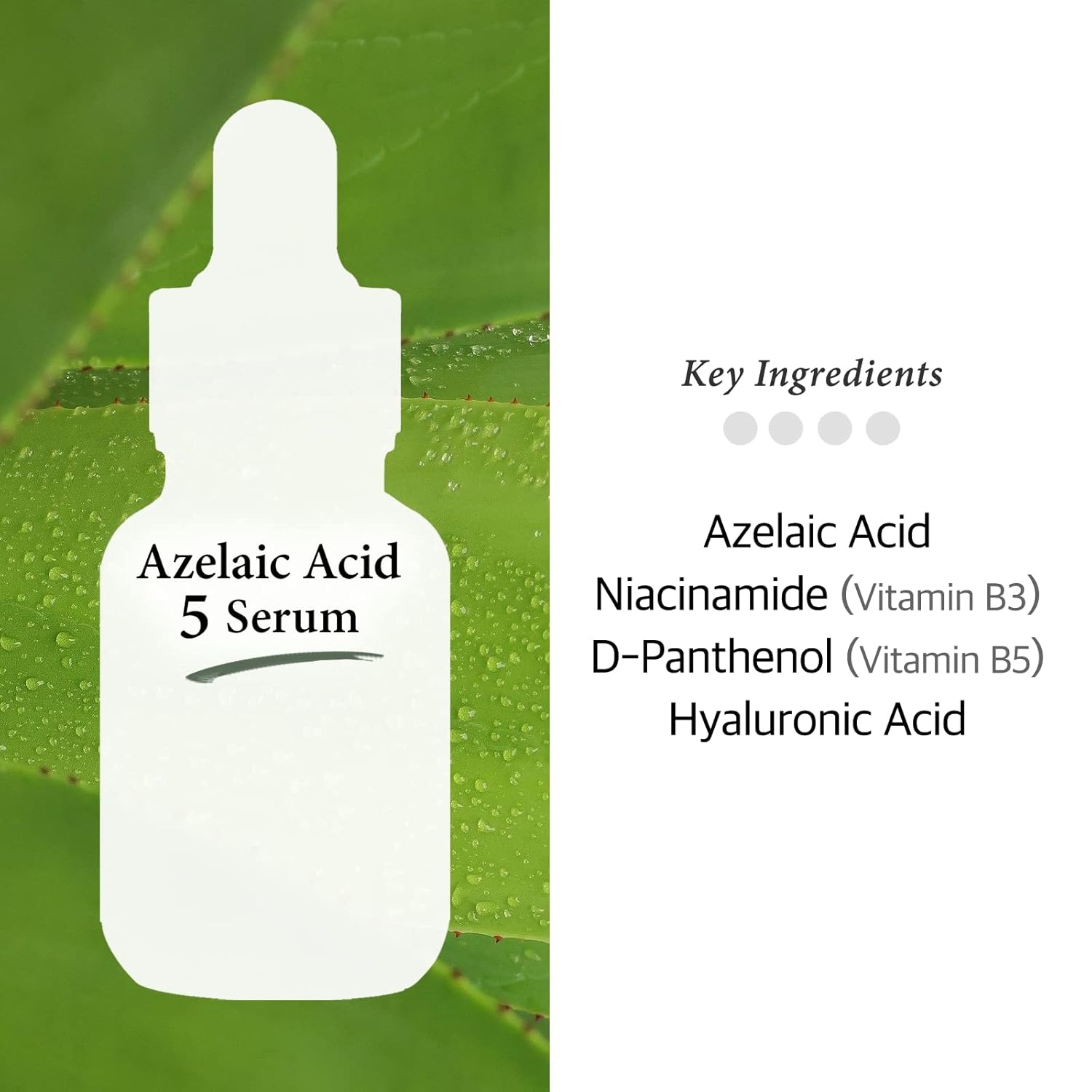 image:imageCos De BAHA Azelaic Acid 5 Serum 1 Fl Oz Niacinamide amp Hyaluronic Acid Face Serum for Uneven Tone Texture amp Oily Skin Lightweight AloeBased Korean Skincare 30 ml